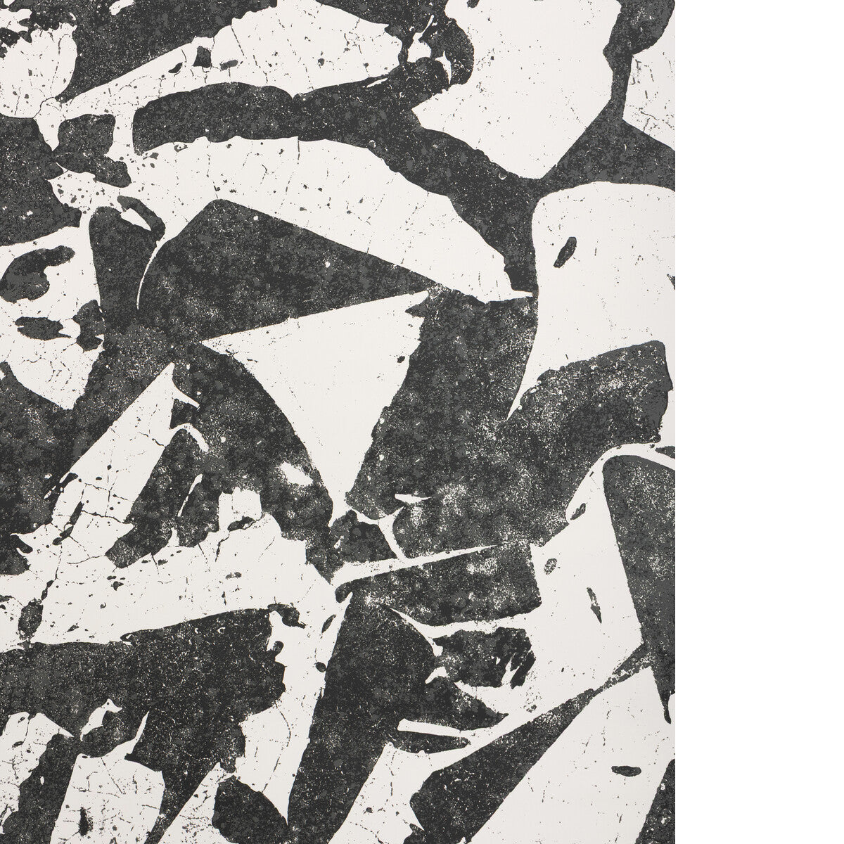 Social Canvas-Ebony