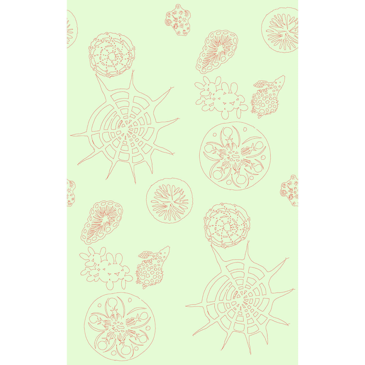 Telescopic P-Coral Sea
