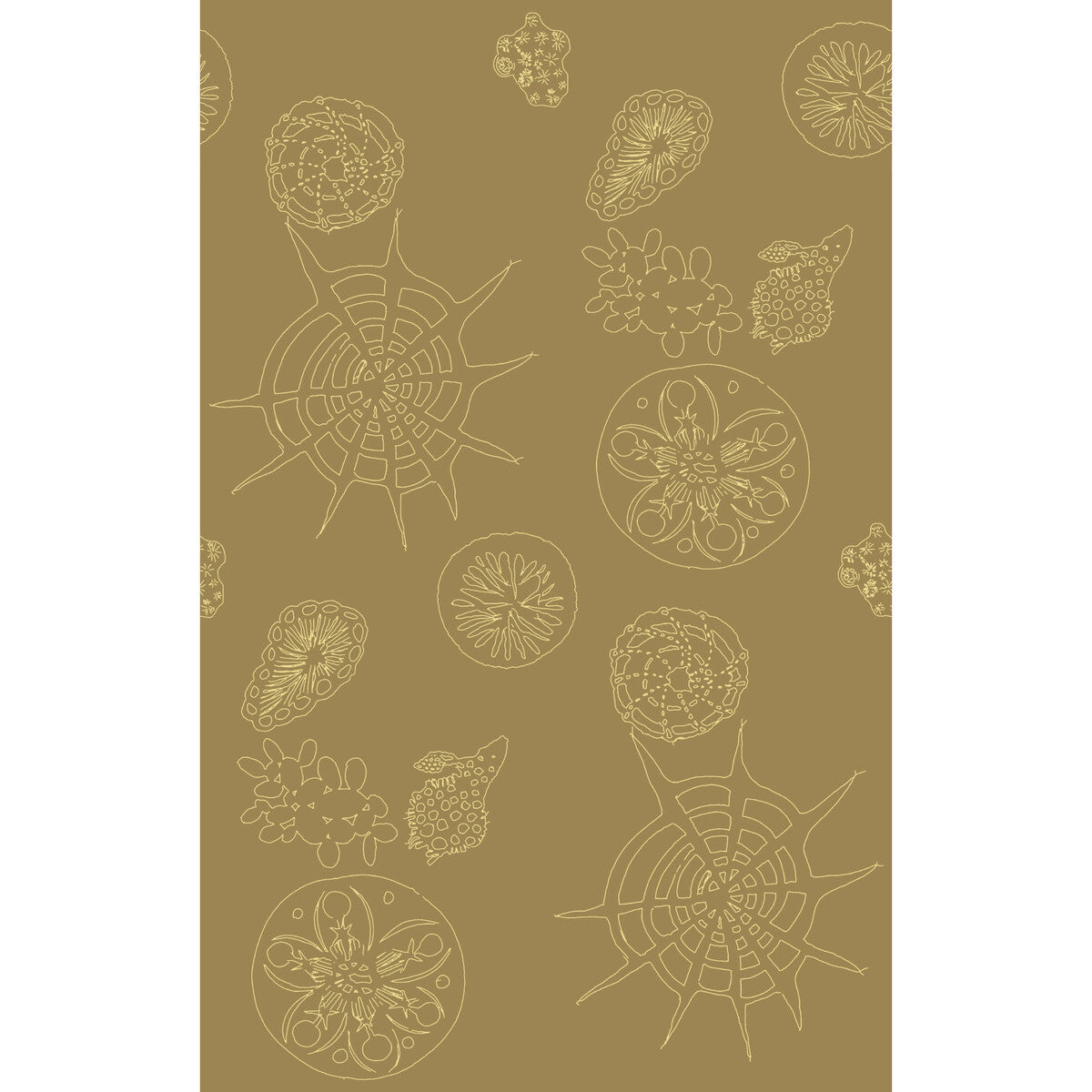 Telescopic P-Sanddollar