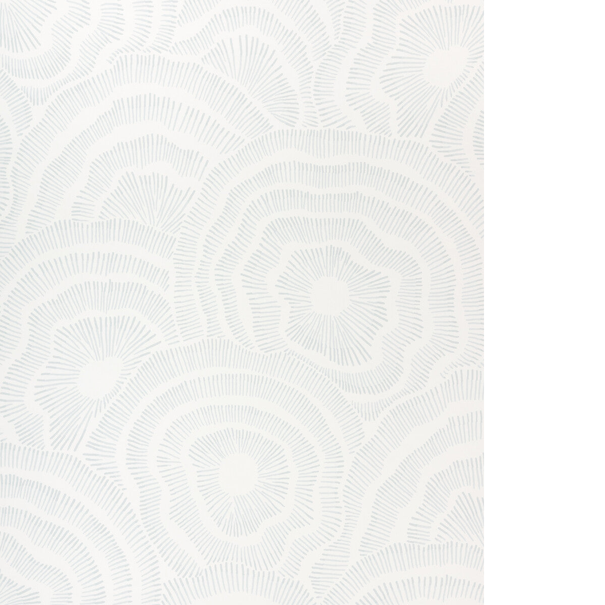 Panache Wp-Sky
