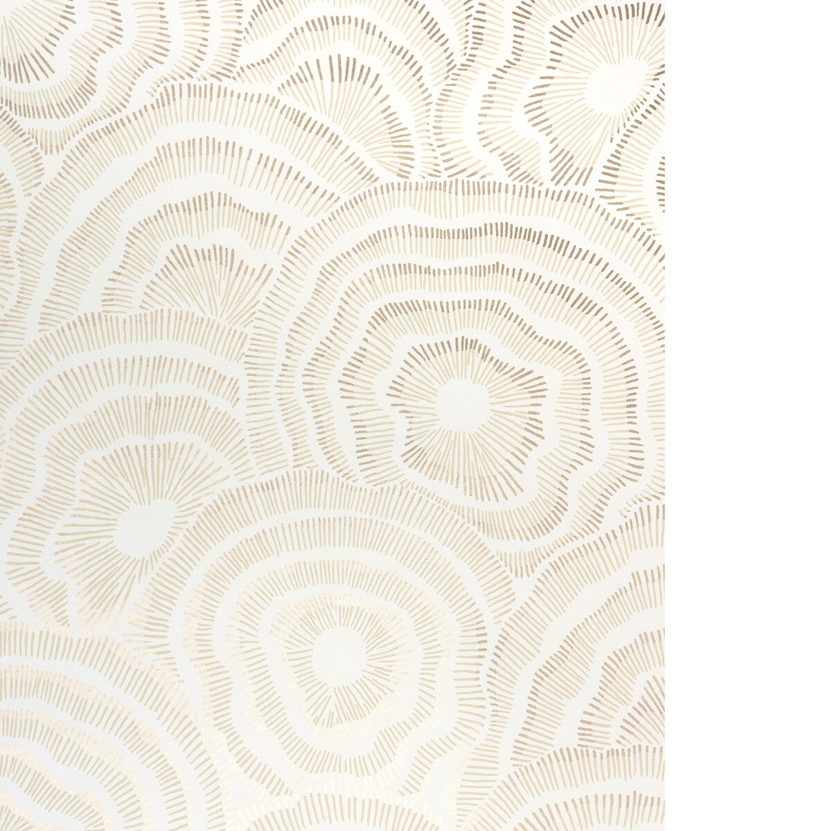 Panache Wp-Champagne