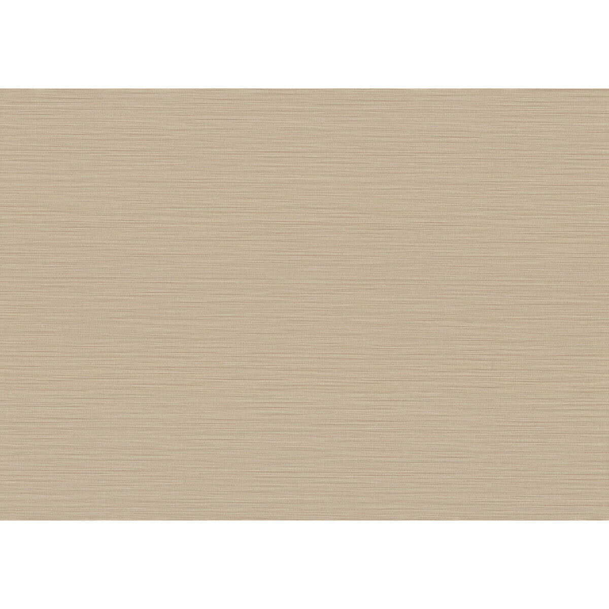 Cannete Wp-10376