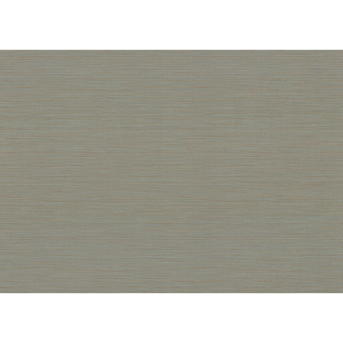 Cannete Wp-10371