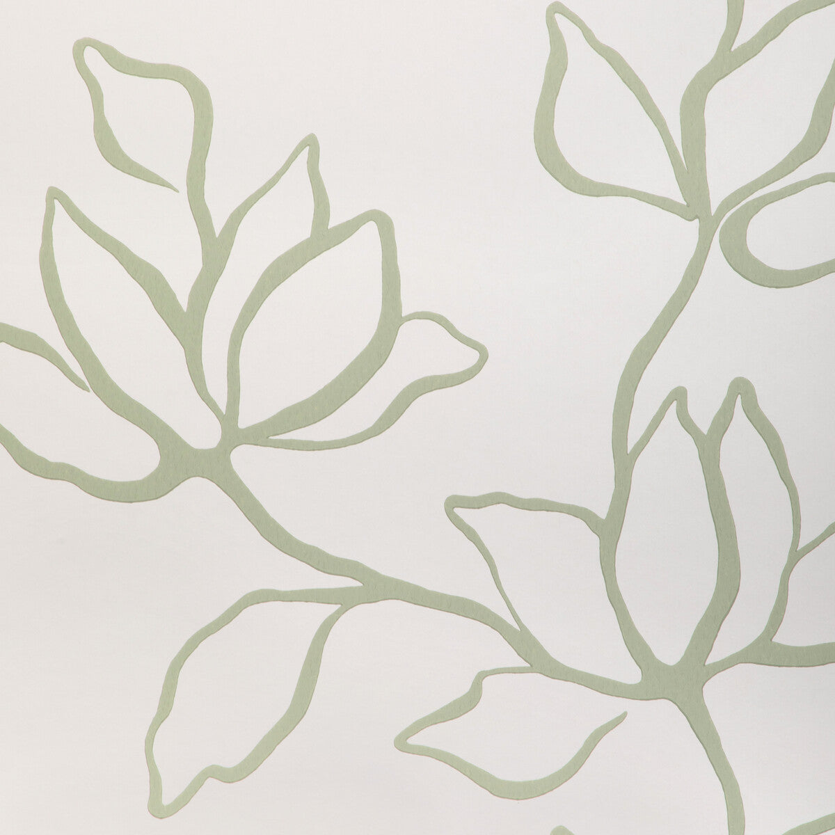 Floral Sketch Wp-Sage