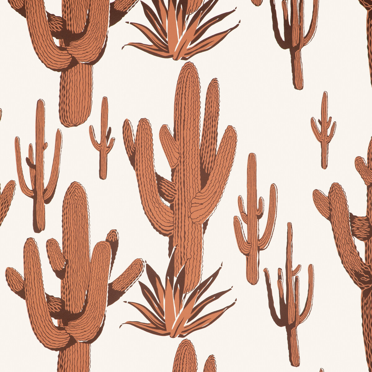 Cacti Land Wp-Clay