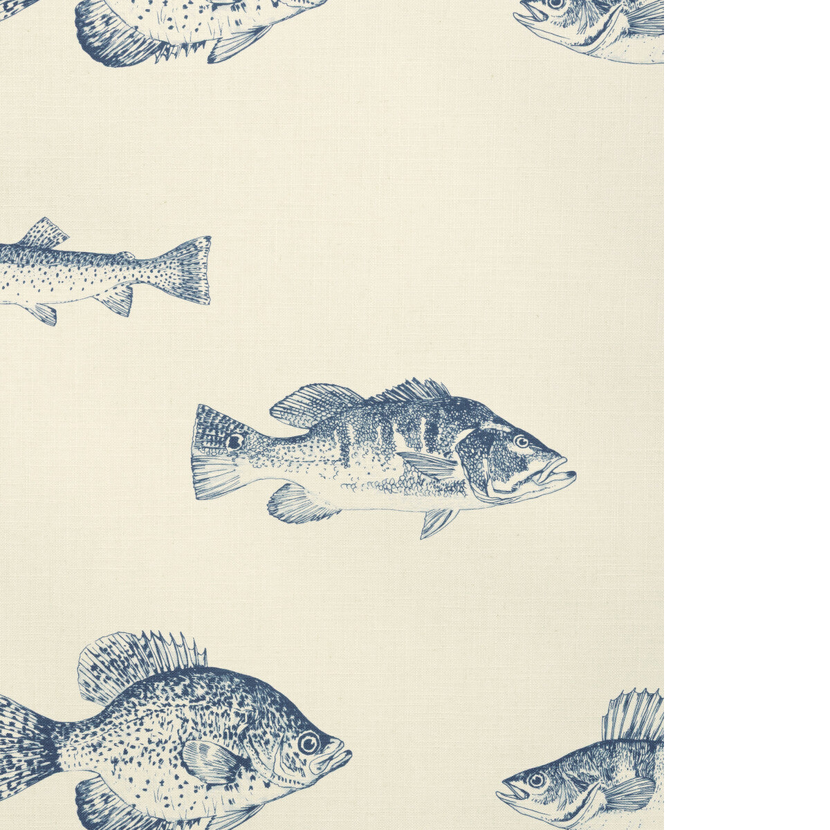 Kravet Design-W4358-155