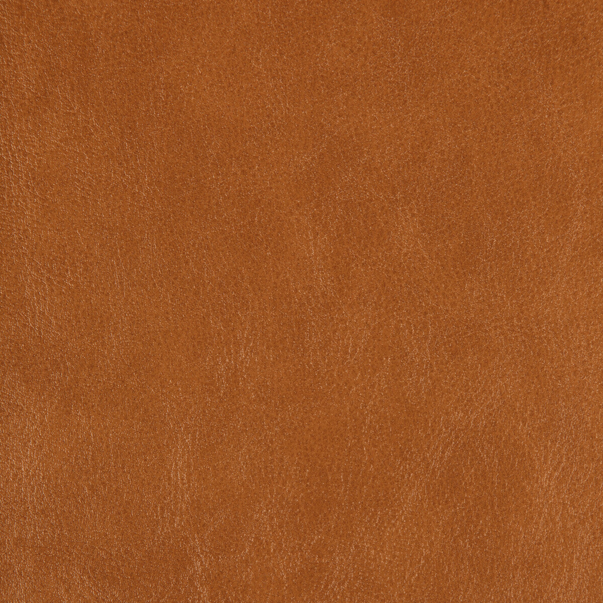 Kravet Design-Zenon-6