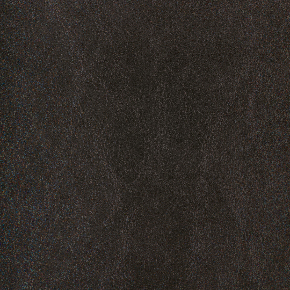 Kravet Design-Zenon-8