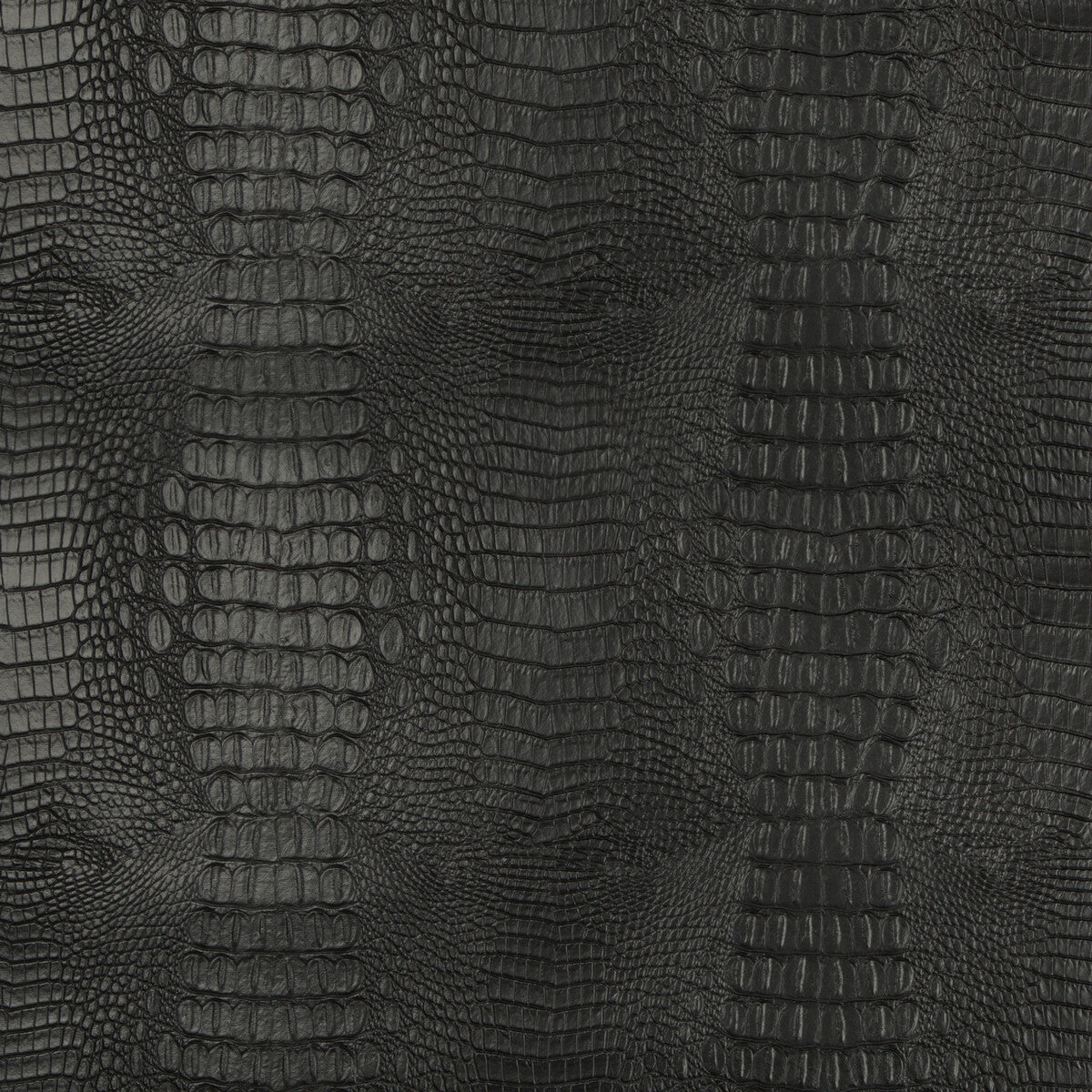 Kravet Design-Zev-8