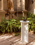 Plec Pedestal