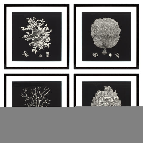 106545 - Prints EC191 Black & Tan Corals set of 4
