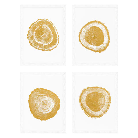 110875 - Prints EC257 Gold Foil: Tree Rings set of 4
