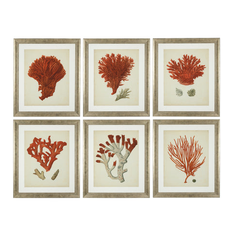 111741 - Prints EC258 Antique Red Corals set of 6