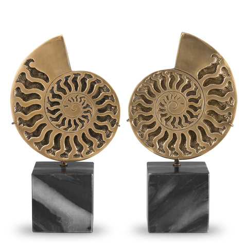 113731 - Object Ammonite vintage brass finish set of 2
