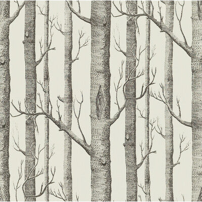 Woods Print-Graphite