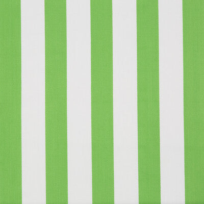 Surf Stripe-Palm Green