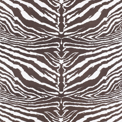Zebra-Brown