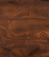 2600-08 Tres Chic - Mahogany/Auburn