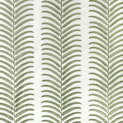 Plantae-Leaf