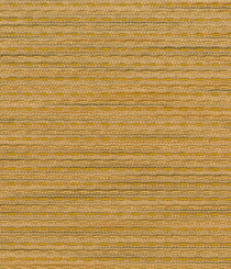 6570-02 Riff - Acoustic