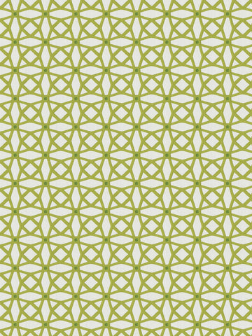 Tension lattice - Kiwi