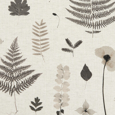 Herbarium-Charcoal/Natural