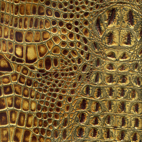 Gator Hornback - Copper Bronze