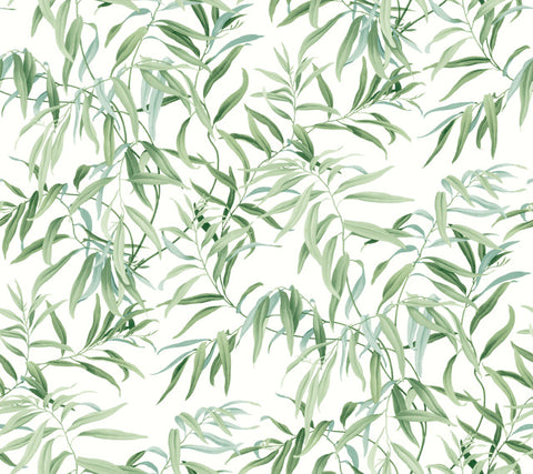 GO8241 Willow Grove Forest Wallpaper-Green