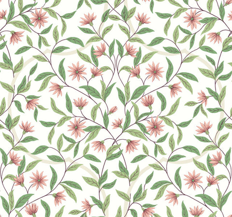 GO8252 Jasmine Coral Wallpaper-Pink