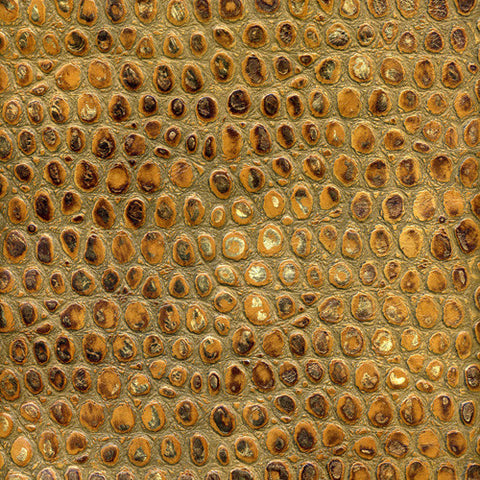 Madagascar - Golden Sepia