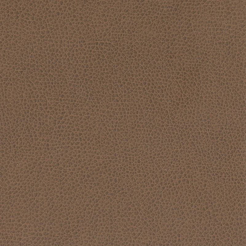 Nemo - Cocoa