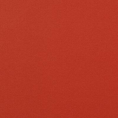 Rock Solid-Crimson