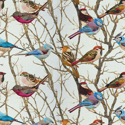 Sparrows2-916
